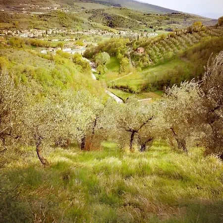 Umbria In Bike Oda ve Kahvaltı
